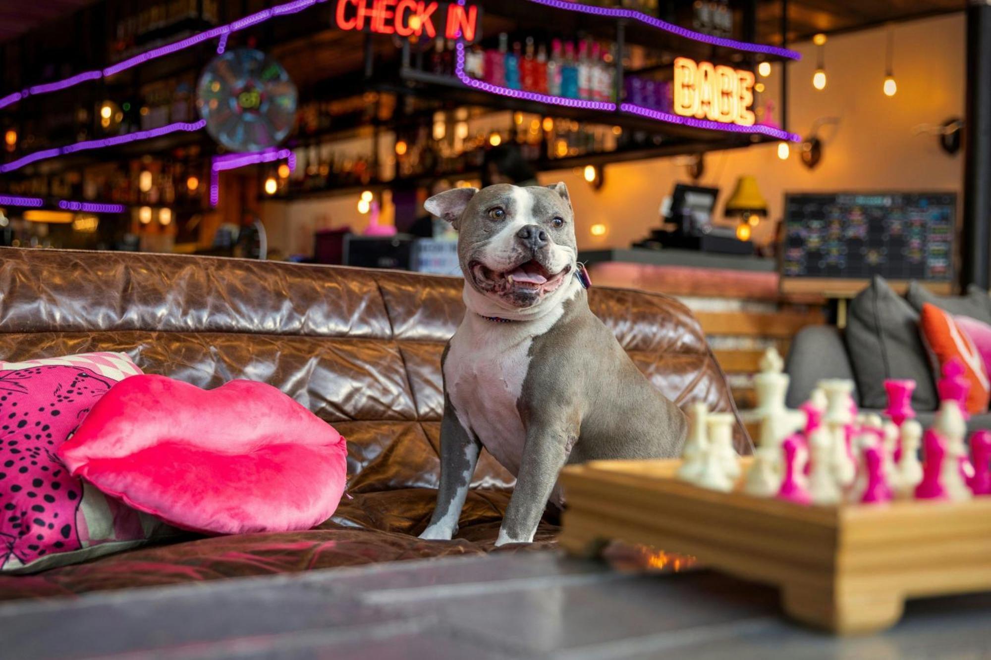 Moxy Washington, Dc Downtown Hotel 3*