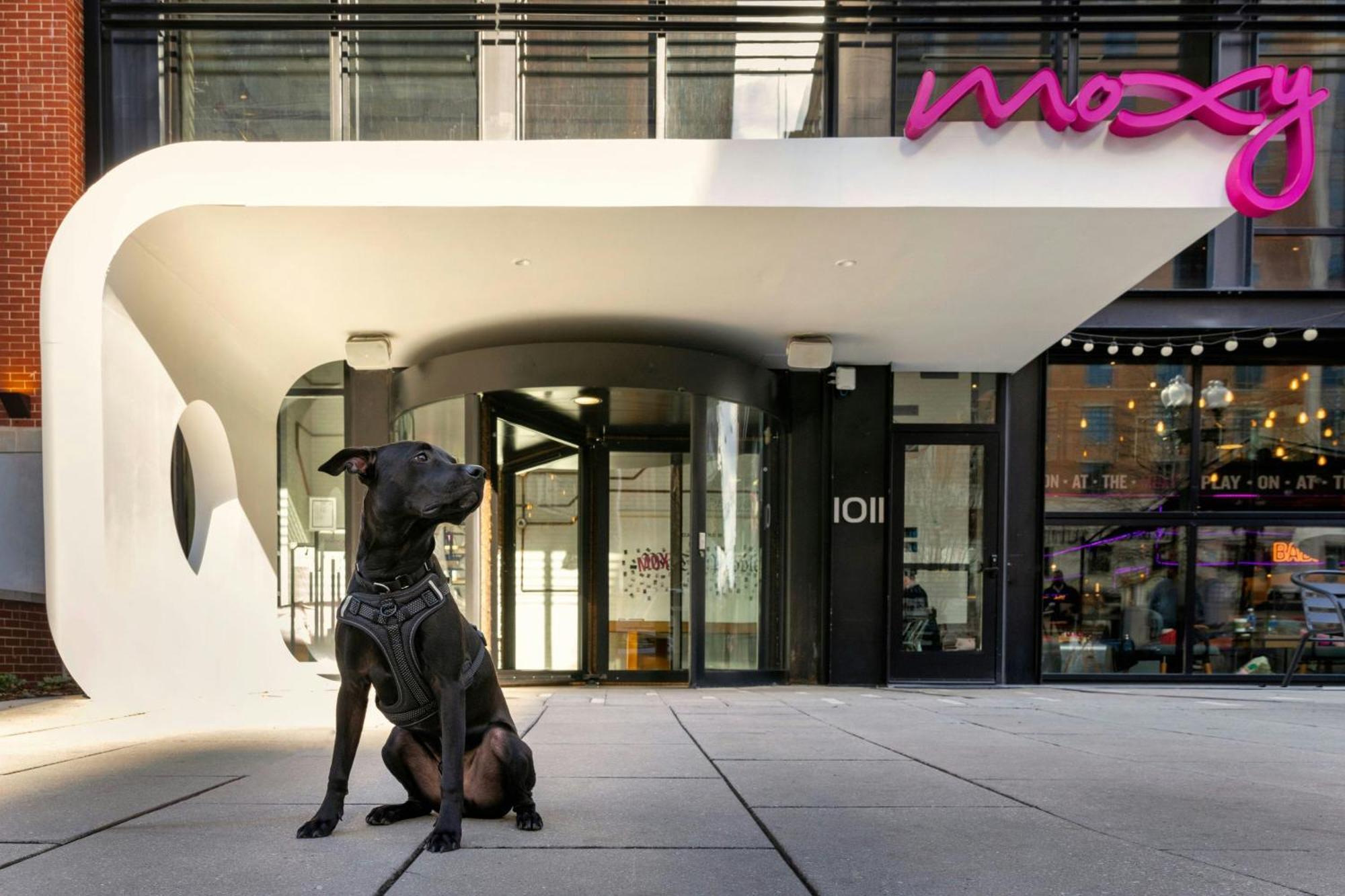 Moxy Washington, Dc Downtown